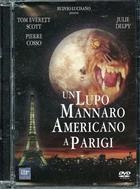 Un Lupo Mannaro Americano A Parigi (1997) DVD Edizione Jewel Box