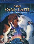 Come Cani & Ggatti (2001) Blu-Ray