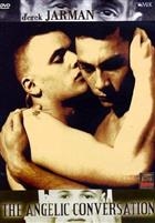 The Angelic Conversation (1985) DVD