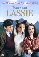 Lassie - Torna A Casa Lassie (1943) DVD