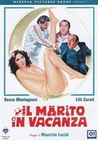 Il Marito In Vacanza (1981) DVD