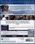 Il Richiamo Della Foresta (2020) Blu-Ray