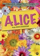 Alice (2009) DVD