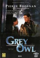 Grey Owl - Gufo Grigio (1998) DVD