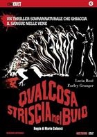 Qualcosa Striscia Nel Buio (1971) DVD