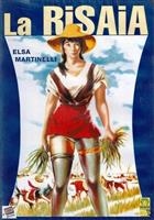 La Risaia (1956) DVD
