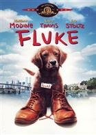 Fluke (1995) DVD