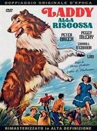 Laddy Alla Riscossa (1962) DVD