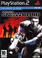 Project - Snowblind PS2