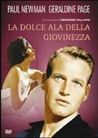 La Dolce Ala Della Giovinezza (1962) DVD