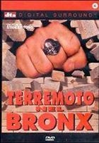 Terremoto Nel Bronx (1996) DVD