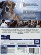 Il Richiamo Della Foresta (2020) DVD