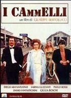 I Cammelli (1989) DVD