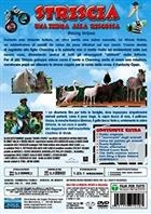 Striscia - Una Zebra Alla Riscossa (2005) DVD