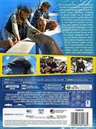 Bernie Il Delfino (2018) DVD