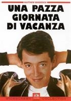 Una Pazza Giornata Di Vacanza (1986) DVD