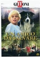 Un Amico Da Salvare (2005) DVD (Giffoni)